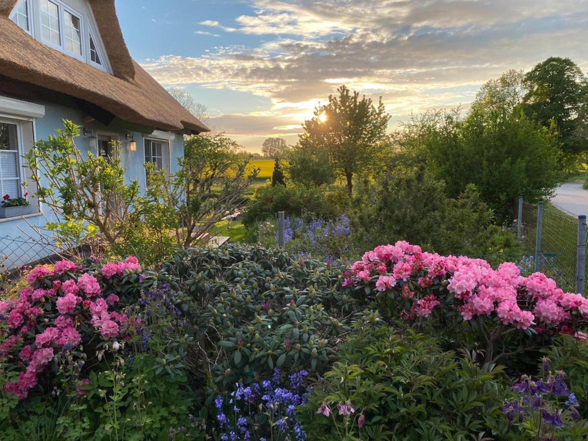 Reethaus Vilmnitz - Ferienwohnung Goor ภายนอก รูปภาพ