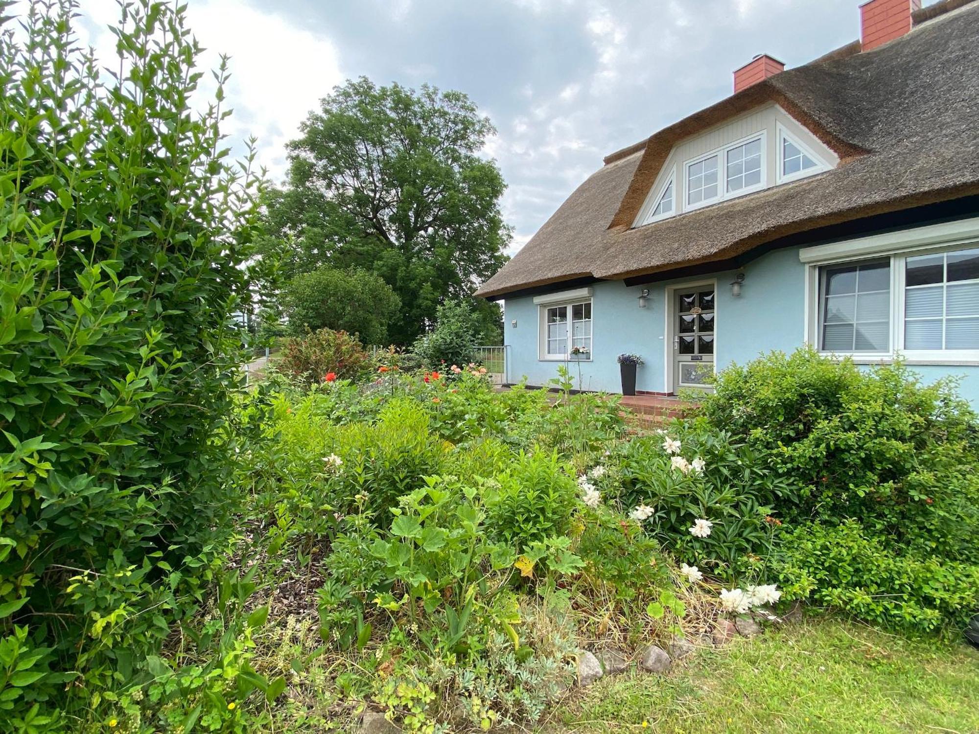 Reethaus Vilmnitz - Ferienwohnung Goor ภายนอก รูปภาพ