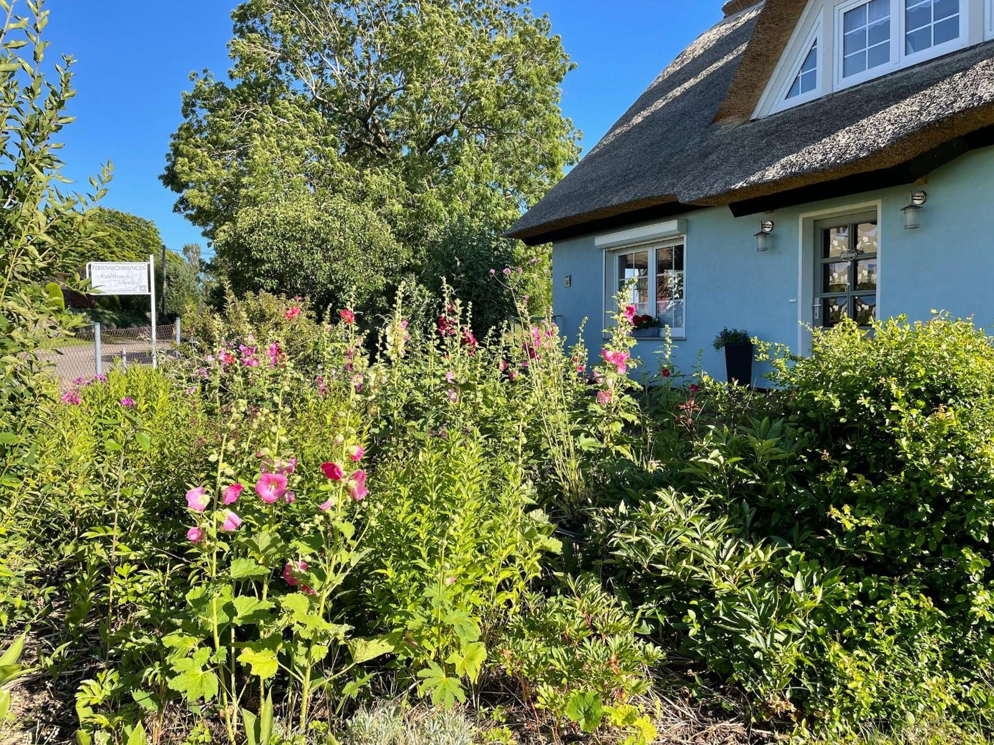 Reethaus Vilmnitz - Ferienwohnung Goor ภายนอก รูปภาพ